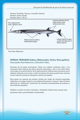 ABC Guia de peces de panama