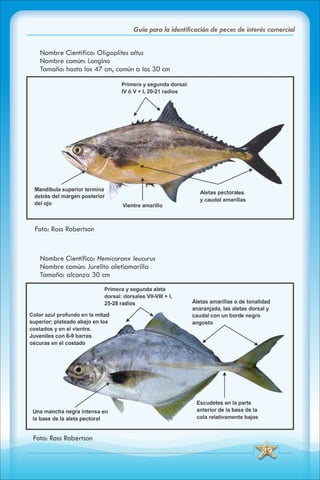 ABC Guia de peces de panama