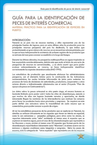 ABC Guia de peces de panama