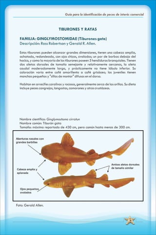 ABC Guia de peces de panama