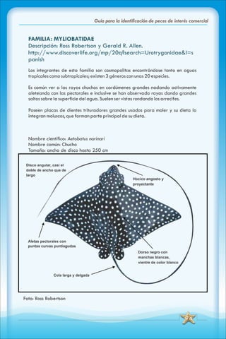 ABC Guia de peces de panama