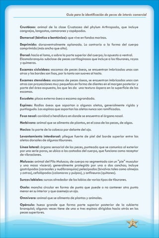 ABC Guia de peces de panama