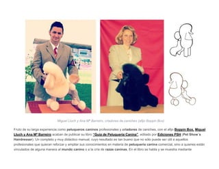 ilustraciones, creadas por Miguel Lluch, las razas de perros más representativas en el ámbito de la peluquería canina come...