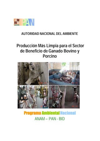 AUTORIDAD NACIONAL DEL AMBIENTE
Producción Más Limpia para el Sector
de Beneficio de Ganado Bovino y
Porcino
Programa AmbientalNacional
ANAM – PAN - BID
 