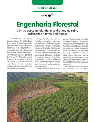 50    Guia de Profissões
biológicas
Engenharia Florestal
Ciência busca aprofundar o conhecimento sobre
as florestas nativas e plantadas
O Brasil apresenta uma área de
florestas naturais de 500 milhões
de hectares e de florestas plantadas
de 6,8 milhões de hectares, cerca
de 60% de todo o seu território –
a segunda maior área florestal do
mundo, atrás apenas da Rússia. O
setor florestal responde por cerca
de 5% do PIB (Produto Interno
Bruto) brasileiro. Com esse poten-
cial de uso dos recursos naturais
para o desenvolvimento do País, o
profissional em Engenharia Florestal
conquista novos espaços.
A Engenharia Florestal pode ser
definida como a ciência que busca
aprofundar o conhecimento sobre
as florestas nativas e plantadas,
visando à produção contínua de
madeira e serviços ambientais. Sis-
tematiza conhecimentos aplicáveis
ao manejo, à utilização e à proteção
dos recursos florestais de modo a
obter benefícios para a sociedade
com o mínimo de impacto no am-
biente e com a conservação das
riquezas naturais.
Entre as áreas de atuação do en-
genheiro florestal estão: formação,
manejo e exploração de áreas flo-
restais; melhoramento genético das
florestas e produção de sementes;
tecnologia de produtos (madeira
serrada, compensados, aglomera-
dos, chapas de fibra, carvão, ce-
lulose e papel, biomassa para fins
energéticos, entre outros); manejo
de bacias hidrográficas e proteção
florestal (contra incêndios, pragas
e doenças).
Ele pode, também, analisar, dis-
cutir e orientar a sociedade diante
 