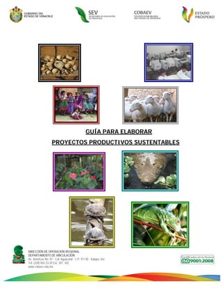 Dirección de Operación Regional


                             




                                                                                                                         




                                                                                                                     

                                                   GUÍA PARA ELABORAR
                       PROYECTOS PRODUCTIVOS SUSTENTABLES




                                                                                                   
    DIRECCIÓN DE OPERACIÓN REGIONAL
    DEPARTAMENTO DE VINCULACIÓN
    Av. Américas No. 87 · Col. Aguacatal · C.P. 91130 · Xalapa, Ver.
    Tel. (228) 842.33.20 Ext. 301, 302
    www.cobaev.edu.mx 
 
 