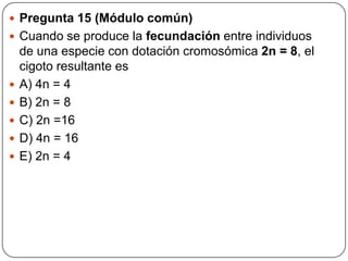  Pregunta 15 (Módulo común)
 Cuando se produce la fecundación entre individuos
de una especie con dotación cromosómica 2n = 8, el
cigoto resultante es
 A) 4n = 4
 B) 2n = 8
 C) 2n =16
 D) 4n = 16
 E) 2n = 4
 
