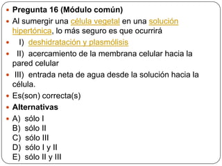  Pregunta 16 (Módulo común)
 Al sumergir una célula vegetal en una solución
hipertónica, lo más seguro es que ocurrirá
 I) deshidratación y plasmólisis
 II) acercamiento de la membrana celular hacia la
pared celular
 III) entrada neta de agua desde la solución hacia la
célula.
 Es(son) correcta(s)
 Alternativas
 A) sólo I
B) sólo II
C) sólo III
D) sólo I y II
E) sólo II y III
 