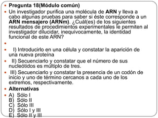  Pregunta 18(Módulo común)
 Un investigador purifica una molécula de ARN y lleva a
cabo algunas pruebas para saber si éste corresponde a un
ARN mensajero (ARNm). ¿Cuál(es) de los siguientes
resultados de procedimientos experimentales le permiten al
investigador dilucidar, inequívocamente, la identidad
funcional de este ARN?

 I) Introducirlo en una célula y constatar la aparición de
una nueva proteína
 II) Secuenciarlo y constatar que el número de sus
nucleótidos es múltiplo de tres.
 III) Secuenciarlo y constatar la presencia de un codón de
inicio y uno de término cercanos a cada uno de los
extremos, respectivamente.
 Alternativas
 A) Sólo I
B) Sólo II
C) Sólo III
D) Sólo I y III
E) Sólo II y III
 