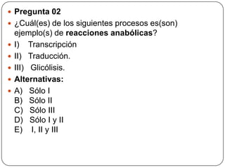  Pregunta 02
 ¿Cuál(es) de los siguientes procesos es(son)
ejemplo(s) de reacciones anabólicas?
 I) Transcripción
 II) Traducción.
 III) Glicólisis.
 Alternativas:
 A) Sólo I
B) Sólo II
C) Sólo III
D) Sólo I y II
E) I, II y III
 