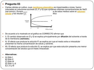  Pregunta 03
 Ciertas células en cultivo, cuya membrana plasmática es impermeable a iones, fueron
colocadas en soluciones acuosas (O, P y Q) que contienen distintas concentraciones de NaCl
(sal común). Durante una hora se registraron los efectos de estos medios sobre el volumen
celular y los resultados se muestran en el siguiente gráfico
 De acuerdo a lo mostrado en el gráfico es CORRECTO afirmar que
 I) El cambio observado en O y Q se explica principalmente por difusión del solvente a través
de la membrana (osmosis).
 II) El efecto que produce la solución P, se explica por que el medio extra e intracelular
presentan la misma concentración de soluto y solvente.
 III) El efecto que produce la solución Q, se explica por que esta solución presenta una menor
concentración de solutos que el medio intracelular.
 Alternativas:
 A) Sólo I
B) Sólo II
C) Sólo III
D) Sólo I y II
E) I, II y III
 