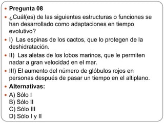  Pregunta 08
 ¿Cuál(es) de las siguientes estructuras o funciones se
han desarrollado como adaptaciones en tiempo
evolutivo?
 I) Las espinas de los cactos, que lo protegen de la
deshidratación.
 II) Las aletas de los lobos marinos, que le permiten
nadar a gran velocidad en el mar.
 III) El aumento del número de glóbulos rojos en
personas después de pasar un tiempo en el altiplano.
 Alternativas:
 A) Sólo I
B) Sólo II
C) Sólo III
D) Sólo I y II
 