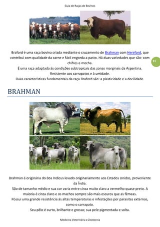 Guia de Raças de Bovinos
Medicina Veterinária e Zootecnia
11
Braford é uma raça bovina criada mediante o cruzamento de Brahman com Hereford, que
contribui com qualidade da carne e fácil engorda a pasto. Há duas variedades que são: com
chifres e mocha.
É uma raça adaptada às condições subtropicais das zonas marginais da Argentina.
Resistente aos carrapatos e à umidade.
Duas características fundamentais da raça Braford são: a plasticidade e a docilidade.
BRAHMAN
Brahman é originária do Bos Indicus levado originariamente aos Estados Unidos, proveniente
da Índia.
São de tamanho médio e sua cor varia entre cinza muito claro a vermelho quase preto. A
maioria é cinza claro e os machos sempre são mais escuros que as fêmeas.
Possui uma grande resistência às altas temperaturas e infestações por parasitas externos,
como o carrapato.
Seu pêlo é curto, brilhante e grosso; sua pele pigmentada e solta.
 