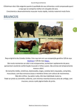 Guia de Raças de Bovinos
Medicina Veterinária e Zootecnia
12
O Brahman não é tão exigente quanto à qualidade de seus alimentos e está comprovado que é
a raça que se comporta melhor em situações de seca.
Crescimento e desenvolvimento muscular muito rápido, instinto maternal muito forte.
BRANGUS
Raça originária dos Estados Unidos. Esta raça tem em sua composição genética 3/8 da raça
Brahman e 5/8 da raça Angus.
São muito resistentes ao calor e aos ectoparasitas; aumentam rapidamente de peso;
apresentam excelente conformação muscular e linhas suaves. São animais de temperamento
manso e dócil.
De tamanho médio, simétricos, balanceados, largos, costelas bem arqueadas, compridos,
musculosos, com boa estrutura óssea e membros fortes com soltura de movimentos.
Não têm chifres. Sua pele é solta, têm boa habilidade materna.
Pode ser preto ou vermelho uniforme, com mínimas manchas brancas atrás do umbigo, com
mucosas, cascos e pele pigmentados de preto.
 