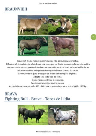 Guia de Raças de Bovinos
Medicina Veterinária e Zootecnia
13
BRAUNVIEH
Braunvieh é uma raça de origem suíça e não possui sangue mestiça.
O Braunvieh tem várias tonalidades de marrom, que vai desde o marrom claro e cinza até o
marrom muito escuro, predominando o marrom-rato; uma cor mais escura é evidente ao
redor dos ombros e do pescoço comparando com o resto do corpo.
São muito bons para produção de leite e também para engorda.
Adapta-se a todo tipo de clima.
É uma raça econômica e ecológica.
Seu temperamento é dócil e manso.
As medidas de uma vaca são 135 - 140 cm e o peso adulto varia entre 1000 - 1300kg.
BRAVA
Fighting Bull - Brave - Toros de Lidia
 