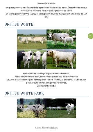 Guia de Raças de Bovinos
Medicina Veterinária e Zootecnia
15
um parto precoce, uma fecundidade legendária e facilidade de parto. É reconhecida por sua
rusticidade e excelente aptidão para a produção de carne.
Os touros pesam de 500 a 650 kg, as vacas pesam de 350 a 450 kg e têm uma altura de 117
cm.
BRITISH WHITE
British White é uma raça originária da Grã-Bretanha.
Possui temperamento dócil, facilidade de parto e boa aptidão materna.
Seu pêlo é branco com alguns pontos pretos como o focinho, as pálpebras, as úberes e as
patas. Alguns animais têm pontos vermelhos.
É de Tamanho médio.
BRITISH WHITE PARK
 