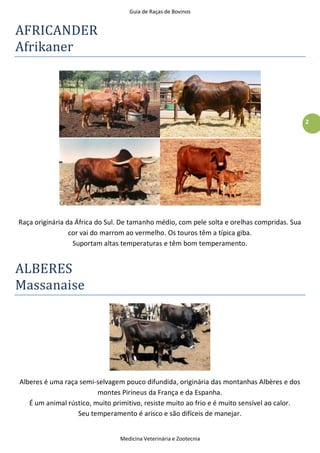 Guia de Raças de Bovinos
Medicina Veterinária e Zootecnia
2
AFRICANDER
Afrikaner
Raça originária da África do Sul. De tamanho médio, com pele solta e orelhas compridas. Sua
cor vai do marrom ao vermelho. Os touros têm a típica giba.
Suportam altas temperaturas e têm bom temperamento.
ALBERES
Massanaise
Alberes é uma raça semi-selvagem pouco difundida, originária das montanhas Albères e dos
montes Pirineus da França e da Espanha.
É um animal rústico, muito primitivo, resiste muito ao frio e é muito sensível ao calor.
Seu temperamento é arisco e são difíceis de manejar.
 