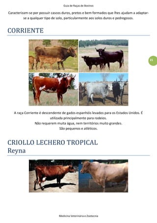 Guia de Raças de Bovinos
Medicina Veterinária e Zootecnia
21
Caracterizam-se por possuir cascos duros, pretos e bem formados que lhes ajudam a adaptar-
se a qualquer tipo de solo, particularmente aos solos duros e pedregosos.
CORRIENTE
A raça Corriente é descendente de gados espanhóis levados para os Estados Unidos. É
utilizada principalmente para rodeios.
Não requerem muita água, nem territórios muito grandes.
São pequenos e atléticos.
CRIOLLO LECHERO TROPICAL
Reyna
 