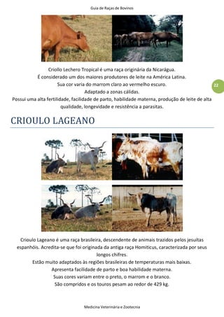 Guia de Raças de Bovinos
Medicina Veterinária e Zootecnia
22
Criollo Lechero Tropical é uma raça originária da Nicarágua.
É considerado um dos maiores produtores de leite na América Latina.
Sua cor varia do marrom claro ao vermelho escuro.
Adaptado a zonas cálidas.
Possui uma alta fertilidade, facilidade de parto, habilidade materna, produção de leite de alta
qualidade, longevidade e resistência a parasitas.
CRIOULO LAGEANO
Crioulo Lageano é uma raça brasileira, descendente de animais trazidos pelos jesuítas
espanhóis. Acredita-se que foi originada da antiga raça Homiticus, caracterizada por seus
longos chifres.
Estão muito adaptados às regiões brasileiras de temperaturas mais baixas.
Apresenta facilidade de parto e boa habilidade materna.
Suas cores variam entre o preto, o marrom e o branco.
São compridos e os touros pesam ao redor de 429 kg.
 