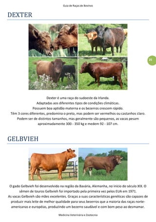 Guia de Raças de Bovinos
Medicina Veterinária e Zootecnia
25
DEXTER
Dexter é uma raça do sudoeste da Irlanda.
Adaptadas aos diferentes tipos de condições climáticas.
Possuem boa aptidão materna e os bezerros crescem rápido.
Têm 3 cores diferentes, predomina o preto, mas podem ser vermelhos ou castanhos claro.
Podem ser de distintos tamanhos, mas geralmente são pequenos, as vacas pesam
aproximadamente 300 - 350 kg e medem 92 - 107 cm.
GELBVIEH
O gado Gelbvieh foi desenvolvido na região da Bavária, Alemanha, no início do século XIX. O
sêmen de touros Gelbvieh foi importado pela primeira vez pelos EUA em 1971.
As vacas Gelbvieh são mães excelentes. Graças a suas características genéticas são capazes de
produzir mais leite de melhor qualidade para seus bezerros que a maioria das raças norte-
americanas e européias, produzindo um bezerro saudável e com bom peso ao desmamar.
 