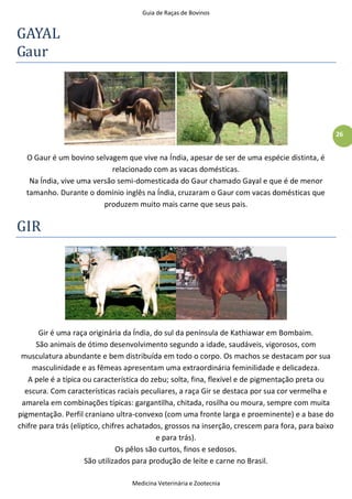 Guia de Raças de Bovinos
Medicina Veterinária e Zootecnia
26
GAYAL
Gaur
O Gaur é um bovino selvagem que vive na Índia, apesar de ser de uma espécie distinta, é
relacionado com as vacas domésticas.
Na Índia, vive uma versão semi-domesticada do Gaur chamado Gayal e que é de menor
tamanho. Durante o domínio inglês na Índia, cruzaram o Gaur com vacas domésticas que
produzem muito mais carne que seus pais.
GIR
Gir é uma raça originária da Índia, do sul da península de Kathiawar em Bombaim.
São animais de ótimo desenvolvimento segundo a idade, saudáveis, vigorosos, com
musculatura abundante e bem distribuída em todo o corpo. Os machos se destacam por sua
masculinidade e as fêmeas apresentam uma extraordinária feminilidade e delicadeza.
A pele é a típica ou característica do zebu; solta, fina, flexível e de pigmentação preta ou
escura. Com características raciais peculiares, a raça Gir se destaca por sua cor vermelha e
amarela em combinações típicas: gargantilha, chitada, rosilha ou moura, sempre com muita
pigmentação. Perfil craniano ultra-convexo (com uma fronte larga e proeminente) e a base do
chifre para trás (elíptico, chifres achatados, grossos na inserção, crescem para fora, para baixo
e para trás).
Os pêlos são curtos, finos e sedosos.
São utilizados para produção de leite e carne no Brasil.
 