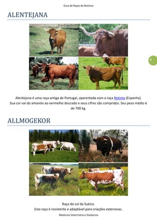 Guia de Raças de Bovinos
Medicina Veterinária e Zootecnia
3
ALENTEJANA
Alentejana é uma raça antiga de Portugal, aparentada com a raça Retinta (Espanha).
Sua cor vai do amarelo ao vermelho dourado e seus cifres são compridos. Seu peso médio é
de 700 kg.
ALLMOGEKOR
Raça do sul da Suécia.
Esta raça é resistente e adaptável para criações extensivas.
 