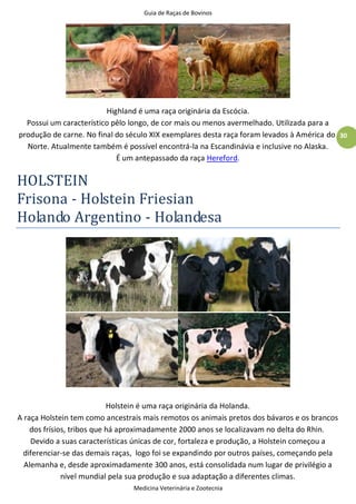 Guia de Raças de Bovinos
Medicina Veterinária e Zootecnia
30
Highland é uma raça originária da Escócia.
Possui um característico pêlo longo, de cor mais ou menos avermelhado. Utilizada para a
produção de carne. No final do século XIX exemplares desta raça foram levados à América do
Norte. Atualmente também é possível encontrá-la na Escandinávia e inclusive no Alaska.
É um antepassado da raça Hereford.
HOLSTEIN
Frisona - Holstein Friesian
Holando Argentino - Holandesa
Holstein é uma raça originária da Holanda.
A raça Holstein tem como ancestrais mais remotos os animais pretos dos bávaros e os brancos
dos frísios, tribos que há aproximadamente 2000 anos se localizavam no delta do Rhin.
Devido a suas características únicas de cor, fortaleza e produção, a Holstein começou a
diferenciar-se das demais raças, logo foi se expandindo por outros países, começando pela
Alemanha e, desde aproximadamente 300 anos, está consolidada num lugar de privilégio a
nível mundial pela sua produção e sua adaptação a diferentes climas.
 