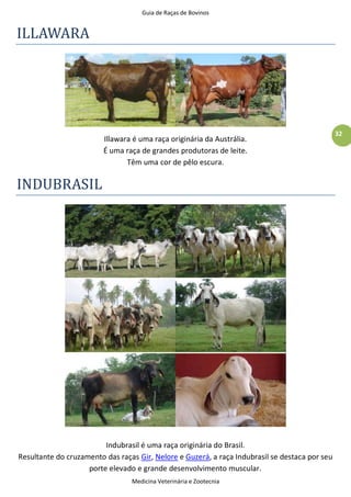 Guia de Raças de Bovinos
Medicina Veterinária e Zootecnia
32
ILLAWARA
Illawara é uma raça originária da Austrália.
É uma raça de grandes produtoras de leite.
Têm uma cor de pêlo escura.
INDUBRASIL
Indubrasil é uma raça originária do Brasil.
Resultante do cruzamento das raças Gir, Nelore e Guzerá, a raça Indubrasil se destaca por seu
porte elevado e grande desenvolvimento muscular.
 