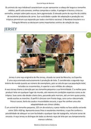 Guia de Raças de Bovinos
Medicina Veterinária e Zootecnia
33
Os animais da raça Indubrasil caracterizam-se por apresentar a cabeça de largura e tamanho
médios, perfil sub-convexo, orelhas compridas e caídas. A pelagem é branca, cinza ou
vermelha, sempre sobre pele escura, bem pigmentada. O elevado porte da raça lhe dá crédito
de excelente produtora de carne. Sua rusticidade e poder de adaptação e produção nos
trópicos permitiram sua expansão por todo o território nacional. O Nordeste brasileiro e o
Triângulo Mineiro se destacam como importantes centros de seleção da raça.
JERSEY
Jersey é uma raça originária da Ilha Jersey, situada no canal da Mancha, na Espanha.
É uma raça orientada exclusivamente à produção de leite. É considerada a segunda raça
leiteira do mundo quanto ao número de exemplares, pois se calcula que sua população total,
incluídos os cruzamentos, é superior a seis milhões de cabeças.
A vaca Jersey chama a atenção por seu tamanho pequeno e sua feminilidade. É a melhor para
produzir leite em qualquer lugar do mundo, até mesmo em condições especiais como as do
trópico. Suas cores vão desde o baio claro, passando pelo marrom, até um tom quase preto,
sendo aceitas as manchas. O perfil é côncavo com fronte larga, cara curta e descarnada.
Possui cascos, borla da cauda e mucosidades escuras, o que lhe confere uma alta
adaptabilidade aos climas cálidos.
É um animal de tamanho pequeno, 125 cm de estatura, e peso médio na fase adulta variando
entre 350 e 430 kg. Apresenta ossos finos e excelentes membros, o que lhe confere a
possibilidade de adequar-se com facilidade a qualquer tipo de topografia, inclusive zonas de
encosta. A raça Jersey se distingue de todas as demais raças de leite por seu temperamento
manso e afetivo.
 