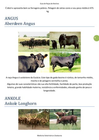 Guia de Raças de Bovinos
Medicina Veterinária e Zootecnia
4
É dócil e aproveita bem as forragens pobres. Pelagem de várias cores e seu peso médio é 475
kg.
ANGUS
Aberdeen Angus
A raça Angus é autóctone da Escócia. Este tipo de gado bovino é rústico, de tamanho médio,
mocho e de pelagens vermelha e preta.
Algumas de suas características são sua alta fertilidade, facilidade de parto, boa produção
leiteira, grande habilidade materna, resistência a enfermidades, elevado ganho de peso e
longevidade.
ANKOLE
Ankole Longhorn
 