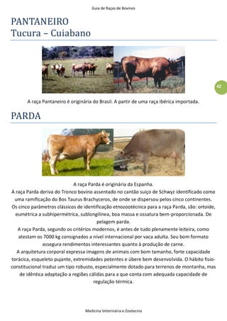Guia de Raças de Bovinos
Medicina Veterinária e Zootecnia
42
PANTANEIRO
Tucura – Cuiabano
A raça Pantaneiro é originária do Brasil. A partir de uma raça Ibérica importada.
PARDA
A raça Parda é originária da Espanha.
A raça Parda deriva do Tronco bovino assentado no cantão suíço de Schwyz identificado como
uma ramificação do Bos Taurus Brachyceros, de onde se dispersou pelos cinco continentes.
Os cinco parâmetros clássicos de identificação etnozootécnica para a raça Parda, são: ortoide,
eumétrica a subhipermétrica, sublongilínea, boa massa e ossatura bem-proporcionada. De
pelagem parda.
A raça Parda, segundo os critérios modernos, é antes de tudo plenamente leiteira, como
atestam os 7000 kg consignados a nível internacional por vaca adulta. Seu bom formato
assegura rendimentos interessantes quanto à produção de carne.
A arquitetura corporal expressa imagens de animais com bom tamanho, forte capacidade
torácica, esqueleto pujante, extremidades potentes e úbere bem desenvolvida. O hábito fisio-
constitucional traduz um tipo robusto, especialmente dotado para terrenos de montanha, mas
de idêntica adaptação a regiões cálidas para a que conta com adequada capacidade de
regulação térmica.
 