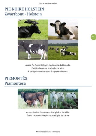 Guia de Raças de Bovinos
Medicina Veterinária e Zootecnia
44
PIE NOIRE HOLSTEIN
Zwartbont - Holstein
A raça Pie Noire Holstein é originária da Holanda.
É utilizada para a produção de leite.
A pelagem característica é a preta e branca.
PIEMONTÊS
Piamontesa
A raça bovina Piamontesa é originária da Itália.
É uma raça utilizada para a produção de carne.
 