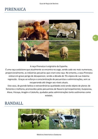 Guia de Raças de Bovinos
Medicina Veterinária e Zootecnia
45
PIRENAICA
A raça Pirenaica é originária da Espanha.
É uma raça autóctone que atualmente se encontra no auge, sendo cada vez mais numerosas,
proporcionalmente, as indústrias pecuárias que criam esta raça. No entanto, a vaca Pirenaica
esteve em grave perigo de desaparecer, sendo a década de 70 a época de sua máxima
regressão . Graças ao esforço e conscientização de pecuaristas e administrações, vem se
recuperando até chegar aos níveis atuais.
Esta vaca, de grande beleza e extraordinárias qualidades está sendo objeto de planos de
fomento e melhoria, promovidos pelos pecuaristas de Navarra (principalmente), Guipúzcoa,
Alava, Vizcaya, Aragón e Cataluña, ajudados pelas administrações tanto autônomas como
estatais.
RANDALL
 