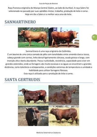 Guia de Raças de Bovinos
Medicina Veterinária e Zootecnia
50
Raça francesa originária do Maciço Central (Salers, ao lado de Aurillac). A raça Salers foi
selecionada no passado por suas aptidões mistas: trabalho, produção de leite e carne.
Hoje em dia a Salers é a melhor vaca ama-de-leite.
SANMARTINERO
Sanmartinero é uma raça originária da Colômbia.
É um bovino de uma única camada de pêlo com tonalidades entre amarelo claro e tosco,
cabeça grande com cornos, linha dorsal ligeiramente côncava, cauda grossa e longa, com
inserção alta e borla abundante. Possui rusticidade, resistência, capacidade para viver em
grandes extensões, onde as forragens são muito escassas e as águas se encontram a grandes
distâncias, certa tolerância a ectoparasitos, a condições extremas de temperatura e umidade e
habilidade para utilizar forragens fibrosos.
Esta raça é utilizada para a produção de leite e carne.
SANTA GERTRUDIS
 