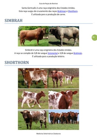 Guia de Raças de Bovinos
Medicina Veterinária e Zootecnia
51
Santa Gertrudis é uma raça originária dos Estados Unidos.
Esta raça surgiu do cruzamento das raças Brahman e Shorthorn.
É utilizada para a produção de carne.
SIMBRAH
Simbrah é uma raça originária dos Estados Unidos.
A raça se compõe de 5/8 de sangue Simmental e 3/8 de sangue Brahmán.
É utilizada para a produção leiteira.
SHORTHORN
 