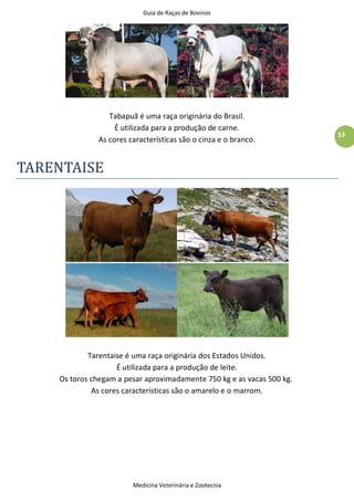 Guia de Raças de Bovinos
Medicina Veterinária e Zootecnia
53
Tabapuã é uma raça originária do Brasil.
É utilizada para a produção de carne.
As cores características são o cinza e o branco.
TARENTAISE
Tarentaise é uma raça originária dos Estados Unidos.
É utilizada para a produção de leite.
Os toros chegam a pesar aproximadamente 750 kg e as vacas 500 kg.
As cores características são o amarelo e o marrom.
 