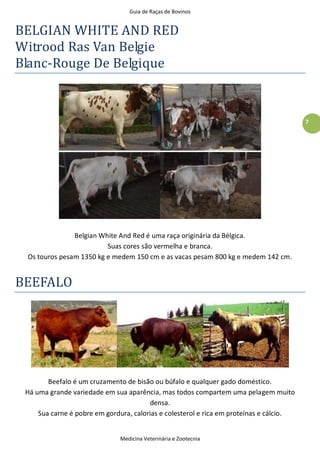 Guia de Raças de Bovinos
Medicina Veterinária e Zootecnia
7
BELGIAN WHITE AND RED
Witrood Ras Van Belgie
Blanc-Rouge De Belgique
Belgian White And Red é uma raça originária da Bélgica.
Suas cores são vermelha e branca.
Os touros pesam 1350 kg e medem 150 cm e as vacas pesam 800 kg e medem 142 cm.
BEEFALO
Beefalo é um cruzamento de bisão ou búfalo e qualquer gado doméstico.
Há uma grande variedade em sua aparência, mas todos compartem uma pelagem muito
densa.
Sua carne é pobre em gordura, calorias e colesterol e rica em proteínas e cálcio.
 