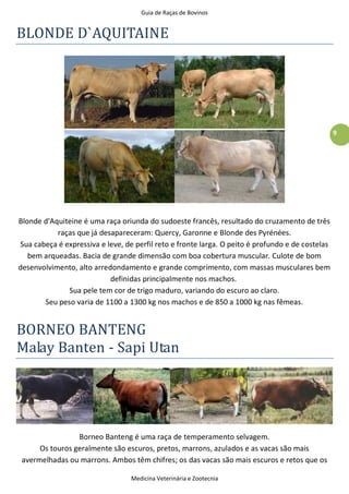 Guia de Raças de Bovinos
Medicina Veterinária e Zootecnia
9
BLONDE D`AQUITAINE
Blonde d'Aquiteine é uma raça oriunda do sudoeste francês, resultado do cruzamento de três
raças que já desapareceram: Quercy, Garonne e Blonde des Pyrénées.
Sua cabeça é expressiva e leve, de perfil reto e fronte larga. O peito é profundo e de costelas
bem arqueadas. Bacia de grande dimensão com boa cobertura muscular. Culote de bom
desenvolvimento, alto arredondamento e grande comprimento, com massas musculares bem
definidas principalmente nos machos.
Sua pele tem cor de trigo maduro, variando do escuro ao claro.
Seu peso varia de 1100 a 1300 kg nos machos e de 850 a 1000 kg nas fêmeas.
BORNEO BANTENG
Malay Banten - Sapi Utan
Borneo Banteng é uma raça de temperamento selvagem.
Os touros geralmente são escuros, pretos, marrons, azulados e as vacas são mais
avermelhadas ou marrons. Ambos têm chifres; os das vacas são mais escuros e retos que os
 