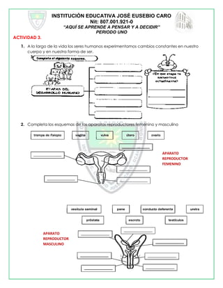 INSTITUCIÓN EDUCATIVA JOSÉ EUSEBIO CARO
Nit: 807.001.921-0
“AQUÍ SE APRENDE A PENSAR Y A DECIDIR”
PERIODO UNO
ACTIVIDAD 3.
1. A lo largo de la vida los seres humanos experimentamos cambios constantes en nuestro
cuerpo y en nuestra forma de ser.
2. Completa los esquemas de los aparatos reproductores femenino y masculino
APARATO
REPRODUCTOR
FEMENINO
APARATO
REPRODUCTOR
MASCULINO
 