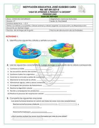 INSTITUCIÓN EDUCATIVA JOSÉ EUSEBIO CARO
Nit: 807.001.921-0
“AQUÍ SE APRENDE A PENSAR Y A DECIDIR”
PERIODO UNO
GUIA DE REPASO
Área: CIENCIAS NATURALES Asignatura: Ciencias Naturales
Grado: 5° Sede: EL PALOMAR
Unidad didáctica: 1-2-3
Tema: La célula y sus partes. Célula animal y célula vegetal. La evolución y la Reproducción
Docente (s): Denise Vega
Fechas de entrega de la guía: Fecha de devolución de actividades:
ACTIVIDAD 1.
1. Identifica las siguientes células y señala sus partes
2. Lee las siguientes características. Luego escoge a qué parte de la célula corresponde.
3. Completa las siguientes oraciones
 
