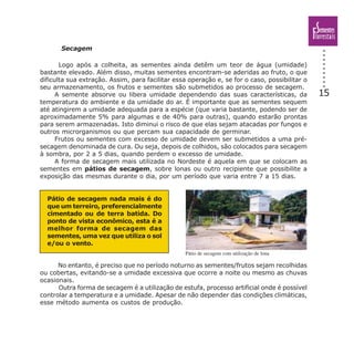 15
Secagem
Logo após a colheita, as sementes ainda detêm um teor de água (umidade)
bastante elevado. Além disso, muitas sementes encontram-se aderidas ao fruto, o que
dificulta sua extração. Assim, para facilitar essa operação e, se for o caso, possibilitar o
seu armazenamento, os frutos e sementes são submetidos ao processo de secagem.
A semente absorve ou libera umidade dependendo das suas características, da
temperatura do ambiente e da umidade do ar. É importante que as sementes sequem
até atingirem a umidade adequada para a espécie (que varia bastante, podendo ser de
aproximadamente 5% para algumas e de 40% para outras), quando estarão prontas
para serem armazenadas. Isto diminui o risco de que elas sejam atacadas por fungos e
outros microrganismos ou que percam sua capacidade de germinar.
Frutos ou sementes com excesso de umidade devem ser submetidos a uma pré-
secagem denominada de cura. Ou seja, depois de colhidos, são colocados para secagem
à sombra, por 2 a 5 dias, quando perdem o excesso de umidade.
A forma de secagem mais utilizada no Nordeste é aquela em que se colocam as
sementes em pátios de secagem, sobre lonas ou outro recipiente que possibilite a
exposição das mesmas durante o dia, por um período que varia entre 7 a 15 dias.
No entanto, é preciso que no período noturno as sementes/frutos sejam recolhidas
ou cobertas, evitando-se a umidade excessiva que ocorre a noite ou mesmo as chuvas
ocasionais.
Outra forma de secagem é a utilização de estufa, processo artificial onde é possível
controlar a temperatura e a umidade. Apesar de não depender das condições climáticas,
esse método aumenta os custos de produção.
Pátio de secagem nada mais é do
que um terreiro, preferencialmente
cimentado ou de terra batida. Do
ponto de vista econômico, esta é a
melhor forma de secagem das
sementes, uma vez que utiliza o sol
e/ou o vento.
Pátio de secagem com utilização de lona
 