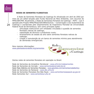 REDES DE SEMENTES FLORESTAIS
A Rede de Sementes Florestais da Caatinga foi oficializada em abril de 2002 por
meio de um edital lançado pelo Fundo Nacional do Meio Ambiente, com recursos do
MMA/SBF/PNF. Atualmente, a Rede de Sementes Florestais da Caatinga – RSFC – que é
apoiada pelo Projeto MMA/PNUD/GEF/BRA/02/G31 – Conservação e Uso Sustentável da
Caatinga e coordenada pelo Departamento de Engenharia Florestal da Universidade
Federal Rural de Pernambuco, tem como principais ações:
- articulação institucional com entidades vinculadas à questão de sementes
florestais nativas de caatinga;
- capacitação de técnicos e produtores rurais;
- levantamento do estado da arte sobre sementes florestais nativas da
caatinga;
- criação e manutenção de um banco de sementes mínimo para atendimento
de demandas emergenciais.
Para maiores informações:
www.plantasdonordeste.org/sementes
Outras redes de sementes florestais em operação no Brasil:
Rede de Sementes da Amazônia Meridional - www.ufmt.br/redesementes
Rede de Sementes do Cerrado - www.sementesdocerrado.bio.br
Rede Mata Atlântica de Sementes Florestais - www.geocities.com/sementesmatatlantica
Rede de Sementes do Pantanal - www.dbi.ufms.br
Rede de Sementes Florestais Rio-São Paulo - www.sementesriosaopaulo.sp.gov.br
Rede Sementes Sul - www.sementesul.ufsc.br
24
 