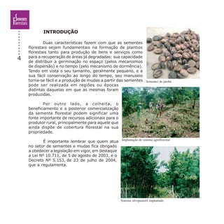 4
INTRODUÇÃO
Duas características fazem com que as sementes
florestais sejam fundamentais na formação de plantios
florestais tanto para produção de bens e serviços como
para a recuperação de áreas já degradadas: sua capacidade
de distribuir a germinação no espaço (pelos mecanismos
de dispersão) e no tempo (pelo mecanismo de dormência).
Tendo em vista o seu tamanho, geralmente pequeno, e a
sua fácil conservação ao longo do tempo, seu manuseio
torna-se fácil e a produção de mudas a partir das sementes
pode ser realizada em regiões ou épocas
distintas daquelas em que as mesmas foram
produzidas.
Por outro lado, a colheita, o
beneficiamento e a posterior comercialização
da semente florestal podem significar uma
fonte importante de recursos adicionais para o
produtor rural, principalmente para aquele que
ainda dispõe de cobertura florestal na sua
propriedade.
É importante lembrar que quem atua
no setor de sementes e mudas fica obrigado
a obedecer a legislação em vigor, em destaque
a Lei Nº 10.711, de 5 de agosto de 2003, e o
Decreto Nº 5.153, de 23 de julho de 2004,
que a regulamenta.
Sementes de jatobá
Implantação de sistema agroflorestal
Sistema silvopastoril implantado
 