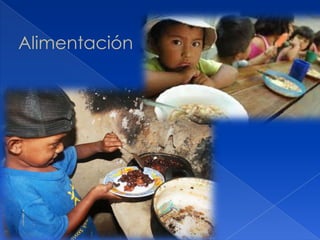 Alimentación
 