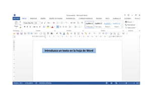 Introduzca un texto en la hoja de Word
 