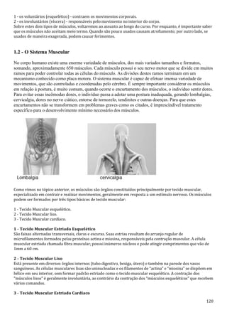120
1 - os voluntários (esquelético) - contraem os movimentos corporais.
2 - os involuntários (víscera) - responsáveis pelo movimento no interior do corpo.
Sobre estes dois tipos de músculos, voltaremos ao assunto ao longo do curso. Por enquanto, é importante saber
que os músculos não aceitam meio termo. Quando são pouco usados causam atrofiamento; por outro lado, se
usados de maneira exagerada, podem causar ferimentos.
1.2 - O Sistema Muscular
No corpo humano existe uma enorme variedade de músculos, dos mais variados tamanhos e formatos,
somando, aproximadamente 650 músculos. Cada músculo possui o seu nervo motor que se divide em muitos
ramos para poder controlar todas as células do músculo. As divisões destes ramos terminam em um
mecanismo conhecido como placa motora. O sistema muscular é capaz de efetuar imensa variedade de
movimentos, que são controladas e coordenadas pelo cérebro. É sempre importante considerar os músculos
em relação à postura, é muito comum, quando ocorre o encurtamento dos músculos, o indivíduo sentir dores.
Para evitar essas incômodas dores, o indivíduo passa a adotar uma postura inadequada, gerando lombalgias,
cervicalgia, dores no nervo ciático, entorse de tornozelo, tendinites e outras doenças. Para que estes
encurtamentos não se transformem em problemas graves como os citados, é imprescindível tratamento
específico para o desenvolvimento mínimo necessário dos músculos.
Como vimos no tópico anterior, os músculos são órgãos constituídos principalmente por tecido muscular,
especializado em contrair e realizar movimentos, geralmente em resposta a um estímulo nervoso. Os músculos
podem ser formados por três tipos básicos de tecido muscular:
1 - Tecido Muscular esquelético.
2 - Tecido Muscular liso.
3 - Tecido Muscular cardíaco.
1 - Tecido Muscular Estriado Esquelético
São faixas alternadas transversais, claras e escuras. Suas estrias resultam do arranjo regular de
microfilamentos formados pelas proteínas actina e miosina, responsáveis pela contração muscular. A célula
muscular estriada chamada fibra muscular, possui inúmeros núcleos e pode atingir comprimentos que vão de
1mm a 60 cm.
2 - Tecido Muscular Liso
Está presente em diversos órgãos internos (tubo digestivo, bexiga, útero) e também na parede dos vasos
sanguíneos. As células musculares lisas são uninucleadas e os filamentos de “actina” e “miosina” se dispõem em
hélice em seu interior, sem formar padrão estriado como o tecido muscular esquelético. A contração dos
“músculos lisos” é geralmente involuntária, ao contrário da contração dos “músculos esqueléticos” que recebem
vários comandos.
3 - Tecido Muscular Estriado Cardíaco
 