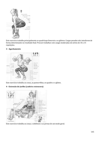 145
Este exercício trabalha principalmente os quadríceps femorais e os glúteos. Cargas pesadas não interferem de
forma determinante no resultado final. Procure trabalhar com cargas moderadas em séries de 10 a 15
repetições.
3 - Agachamento
Este exercício trabalha as coxas, as panturrilhas, os quadris e o glúteo.
4 - Extensão de joelho (cadeira extensora)
Este exercício trabalha as coxas, o abdômen e as pernas de um modo geral.
 