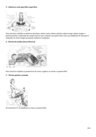 146
5 - Adutores com aparelho específico
Este exercício trabalha os adutores (pectíneo, adutor curto, adutor mínimo, adutor longo, adutor magno e
grácil), permite a utilização de cargas maiores que a adução com polia baixa, mas sua amplitude de execução é
reduzida. As séries longas produzem melhores resultados.
6 - Flexão de joelho (mesa flexora)
Este exercício trabalha os posteriores da coxas, o glúteo, as costas e a panturrilha.
7 – Flexão plantar sentado
Os exercícios 5 e 6 trabalham as coxas e a panturrilha.
 