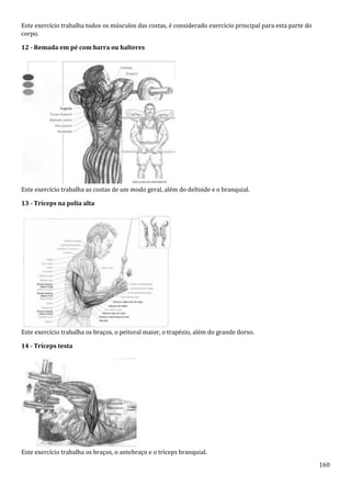 160
Este exercício trabalha todos os músculos das costas, é considerado exercício principal para esta parte do
corpo.
12 - Remada em pé com barra ou halteres
Este exercício trabalha as costas de um modo geral, além do deltoide e o branquial.
13 - Tríceps na polia alta
Este exercício trabalha os braços, o peitoral maior, o trapézio, além do grande dorso.
14 - Tríceps testa
Este exercício trabalha os braços, o antebraço e o tríceps branquial.
 