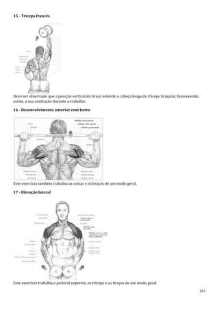 161
15 - Tríceps francês
Deve ser observado que a posição vertical do braço estende a cabeça longa do tríceps braquial, favorecendo,
assim, a sua contração durante o trabalho.
16 - Desenvolvimento anterior com barra
Este exercício também trabalha as costas e os braços de um modo geral.
17 - Elevação lateral
Este exercício trabalha o peitoral superior, os tríceps e os braços de um modo geral.
 